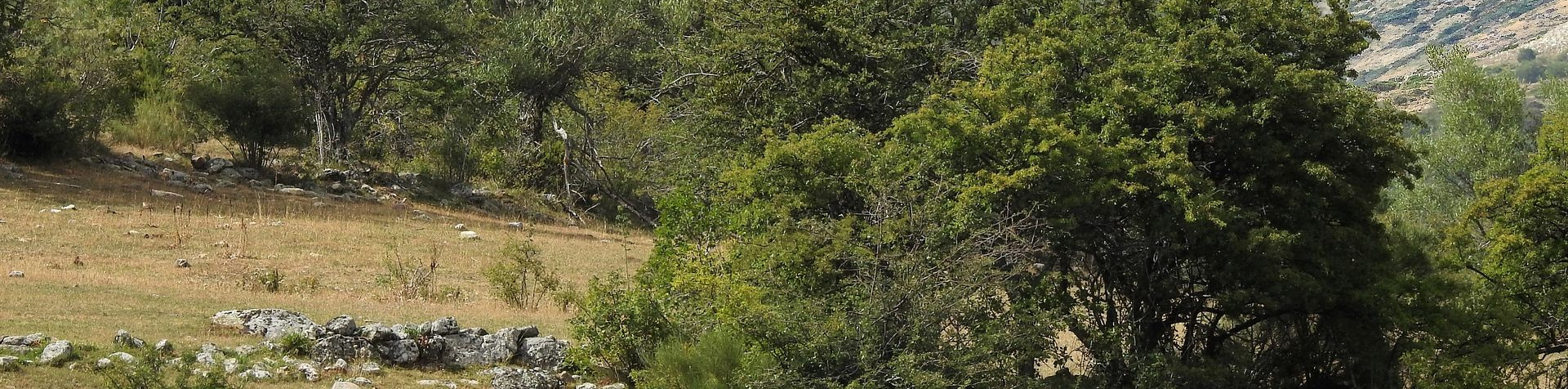 Quintanilla de Corvio