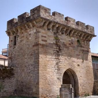Puerta del Paseo Real y muralla