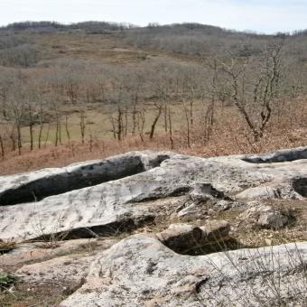 Tumbas antropomorfas de la necrópolis medieval de Canduela