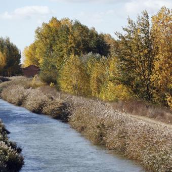 Canal de Castilla a su paso por Belmonte de Campos