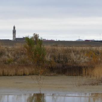 Panorámica Fuentes de Nava desde la Laguna