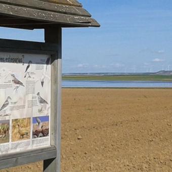 Laguna de Boada Humedal Estepario de Boada de Campos