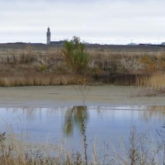 Panorámica Laguna de la Nava, Fuentes de Nava al fondo Panorámica Laguna de la Nava, Fuentes de Nava al fondo