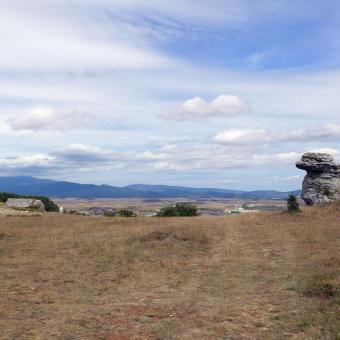 Monumento Natural de las Tuerces, Villaescusa de las Torres Monumento Natural de las Tuerces