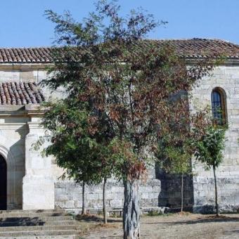 Iglesia de San Cristóbal, Prádanos de Ojeda