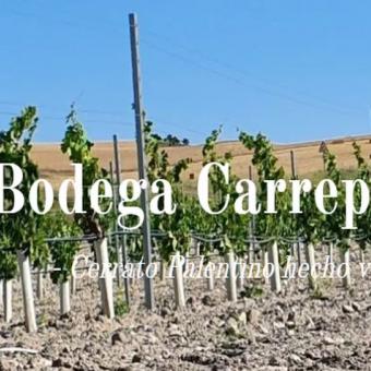 Bodega Carreprado Bodega Carreprado