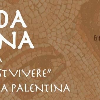 Programación Nocturna en la Olmeda