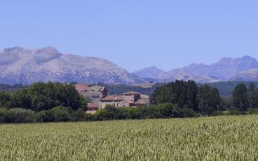 Panorámica de la iglesia de Santa Eufemia de Olmos de Ojeda, al fondo Montaña Palentina
