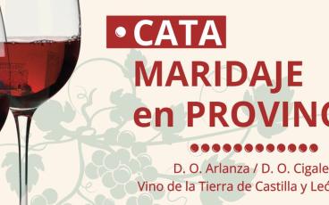 Catas Maridadas bajo las estrellas