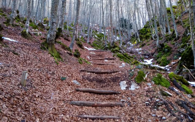 Escaleras de acceso a las pasarelas en la Tejeda de Tosande