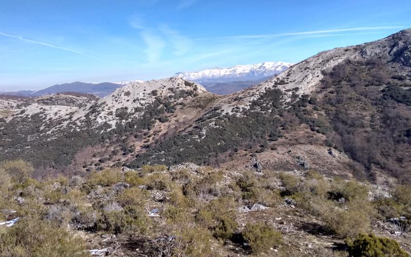 Mirador con vistas a Peña Labra, Pico Tres Mares y Cuchillón, Tejeda de Tosande
