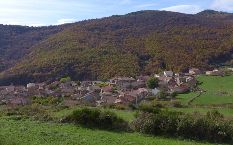 Panorámica de Brañosera y el Bosque de la Pedrosa