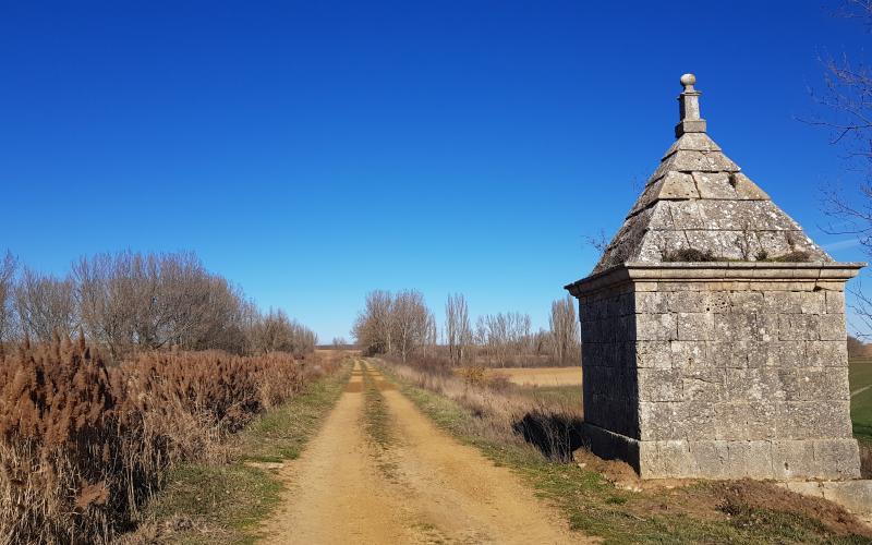 Almenara del Castilla, Requena de Campos