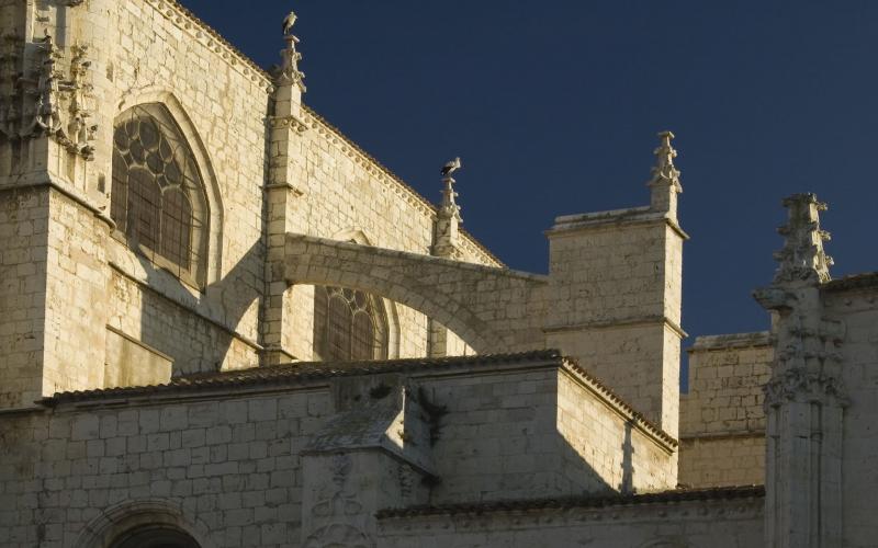 Arbotantes de la catedral de San Antolín rematados en pináculos