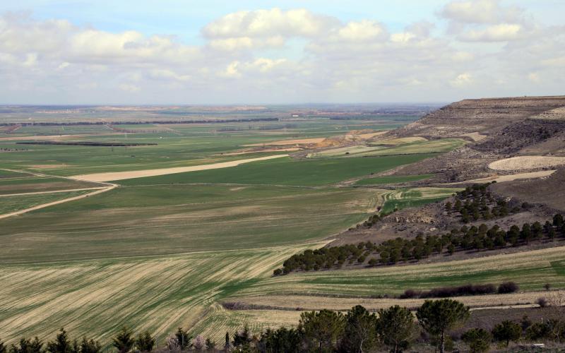 Panorámica desde el Mirador de Campos