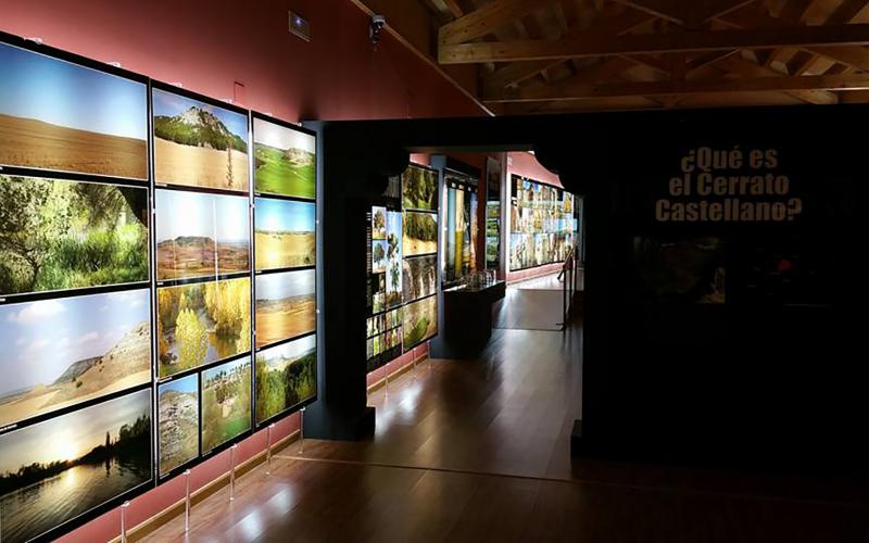 Interior del Museo del Cerrato