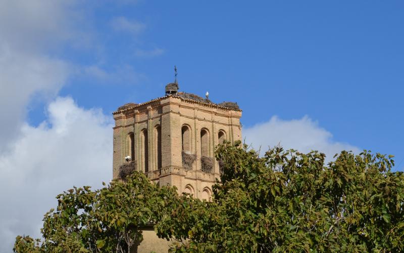 Torre de San Martín