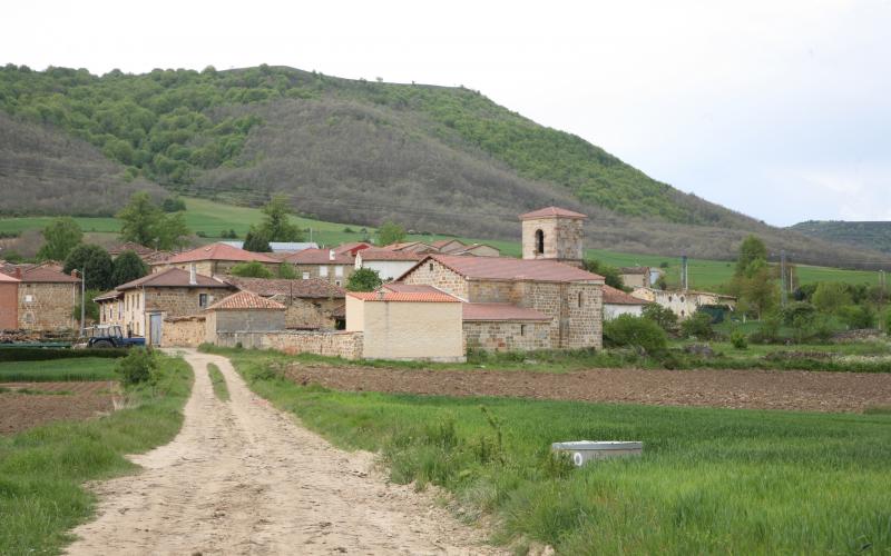 Panorámica de Berzosilla