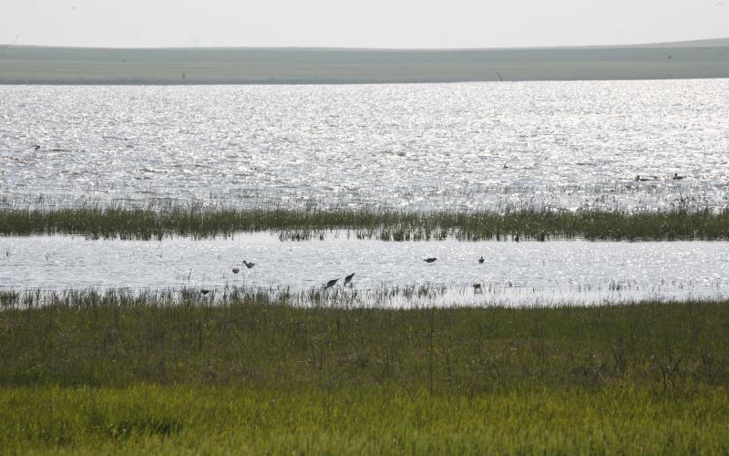 Laguna de Boada de Campos
