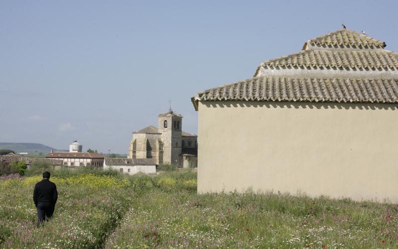 Palomar, al fondo la Iglesia de Nuestra Señora de la Asunción