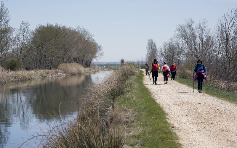 Canal de Castilla a su paso por Boadilla del Camino, Camino de Santiago