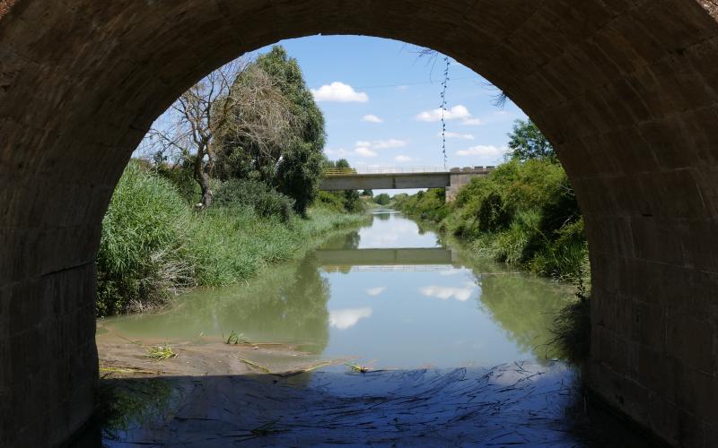 Puente Calahorra de Ribas, Ribas de Campos