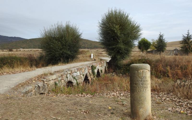 Puente Perdiz y miliario, Nestar