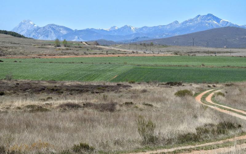 Camino Olvidado, al fondo el Curavacas y el Espigüete