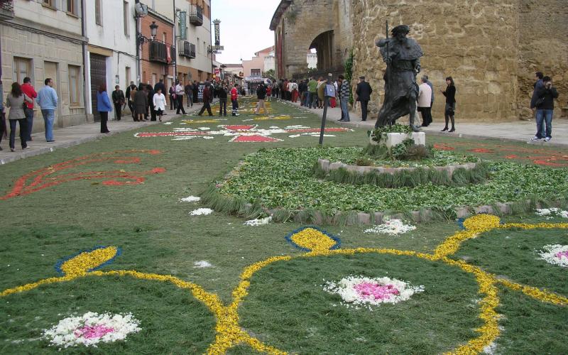 Alfombras florales del Corpus Christi en Carrión de los Condes