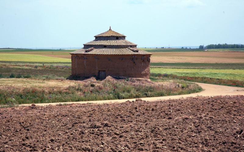 Palomar en las tierras de Castil de Vela