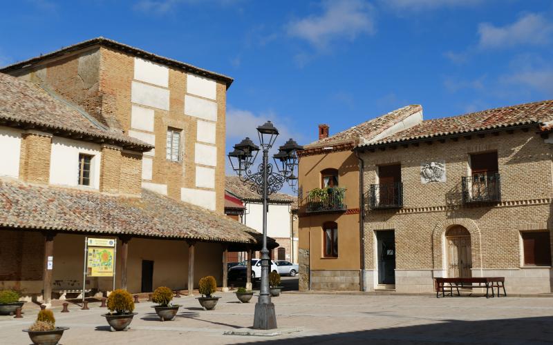 Iglesia Museo de San Pedro y casa solariega