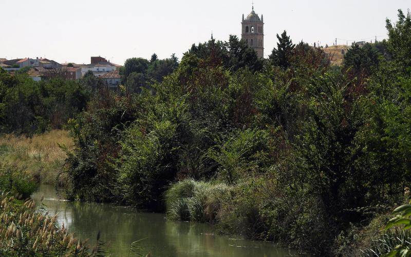 Canal de Castilla