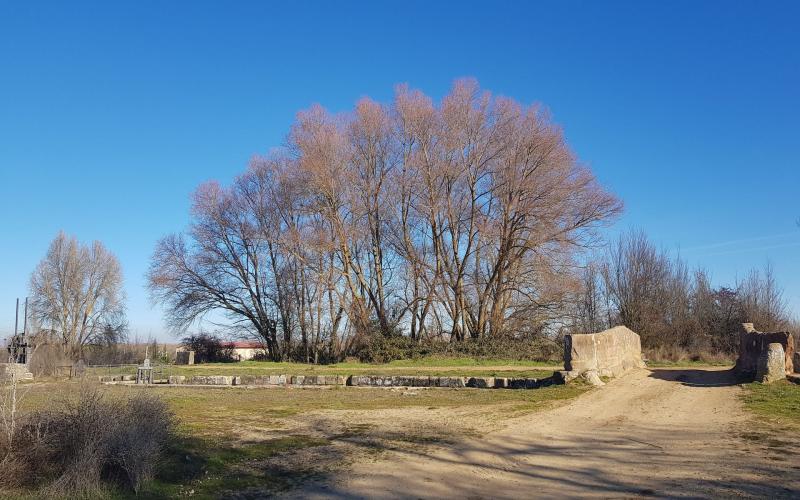 El Canal de Castilla a su paso por Naveros de Pisuerga