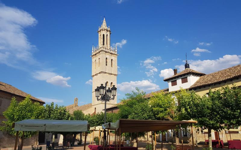 Panorámica de la Estrella de Campos