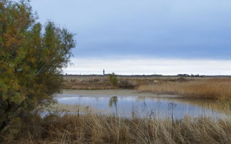 Panorámica Laguna de la Nava, Fuentes de Nava