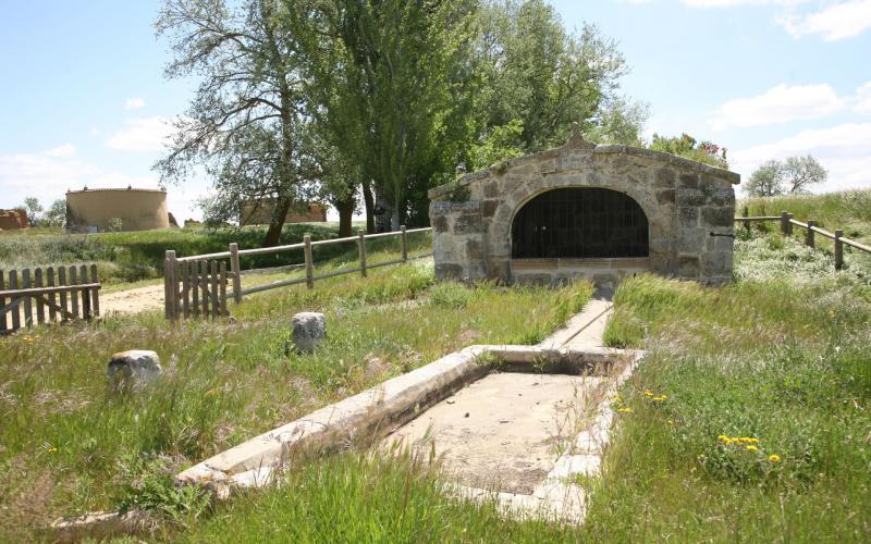 Fuente de Guaza de Campos