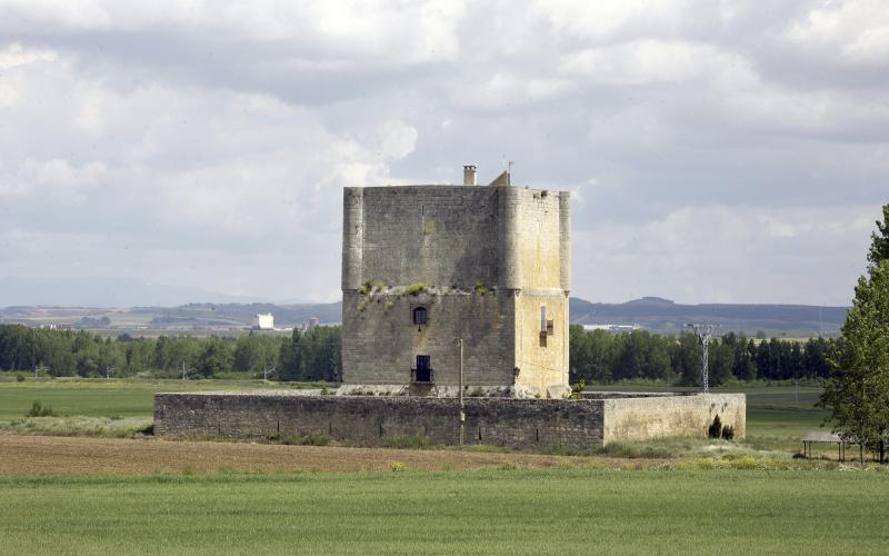 Castillo de las Cabañas de Castilla