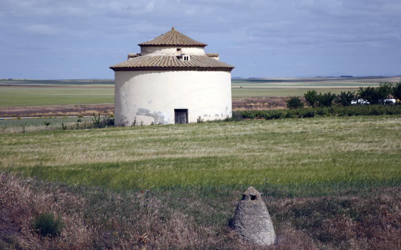 Palomar en Marcilla