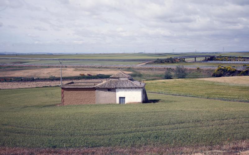 Palomar en Marcilla