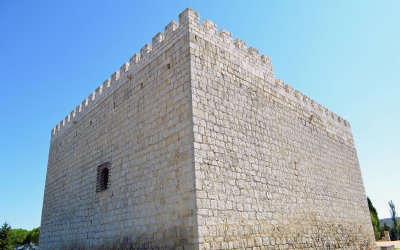 Castillo de Monzón de Campos