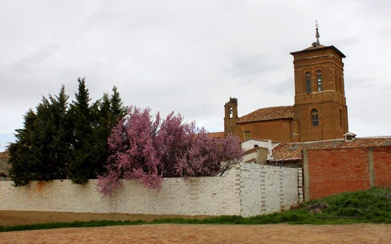 San Martín. Centro de Interpretación de Tierra de Campos en Paredes de Nava