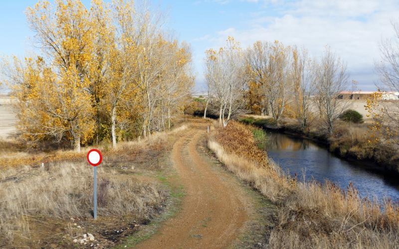 Camino de sirga Sahagún el Real