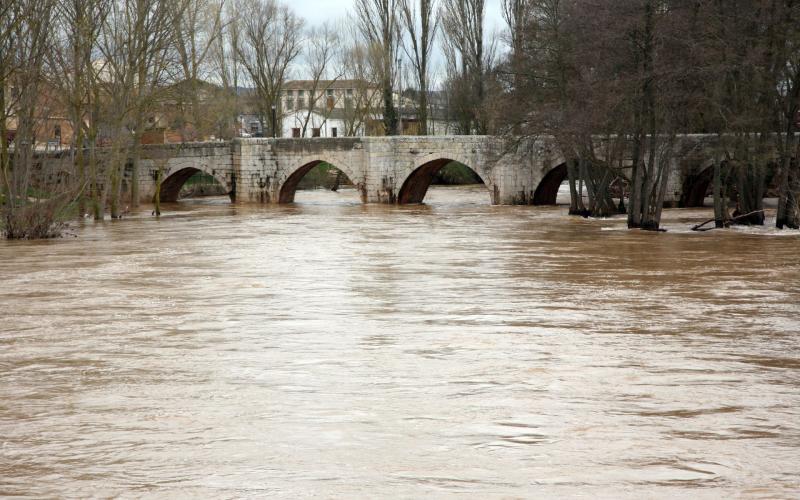 Arlanza a su paso por Quintana del Puente