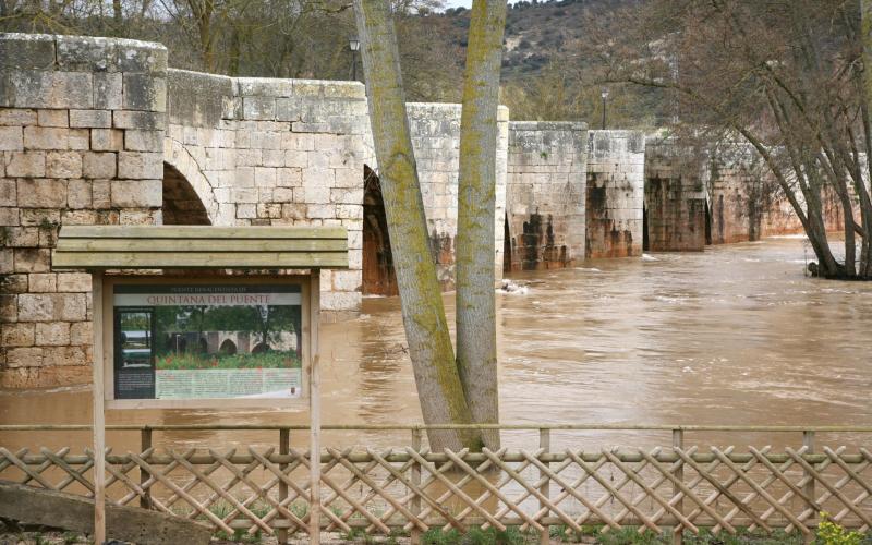 Panorámica del puente