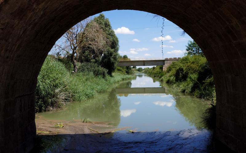 Puente Calahorra de Ribas, Ribas de Campos