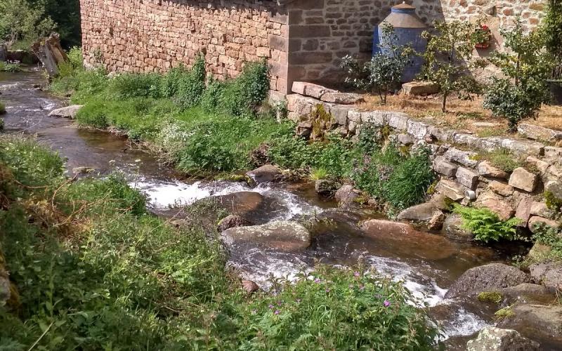 Río Camesa en Salcedillo