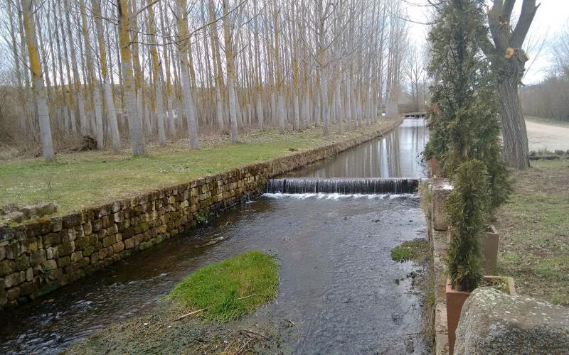 Ribera del río Pisuerga