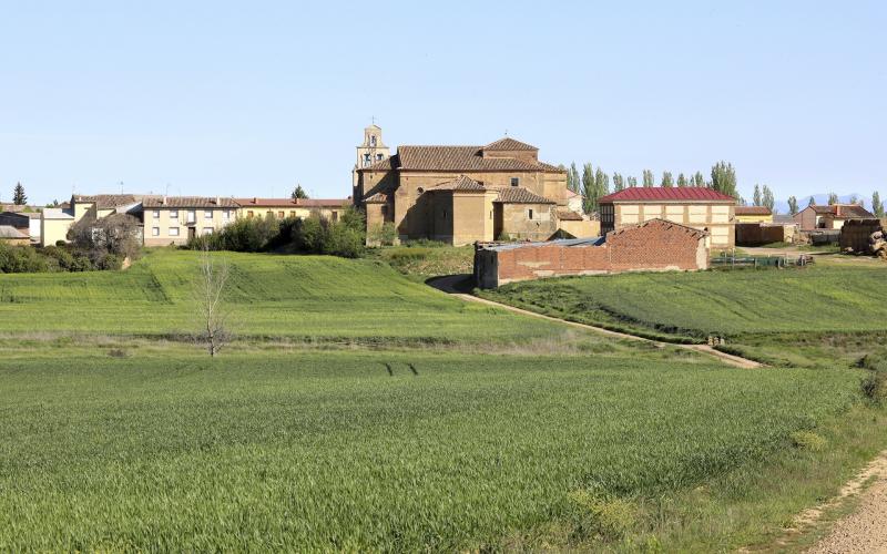 Panorámica de San Mames de Campos