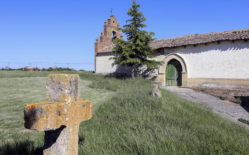 Iglesia de San Mamés de Campos