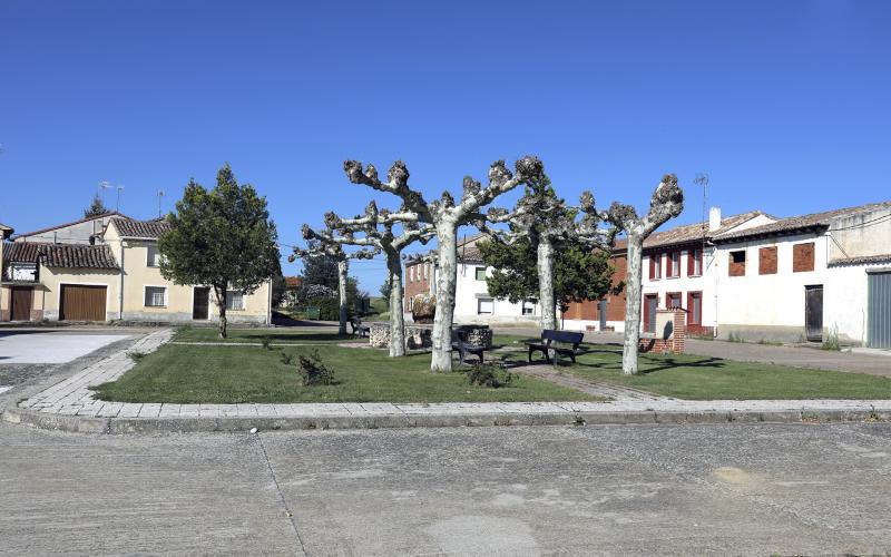 Plaza de San Mamés de campos